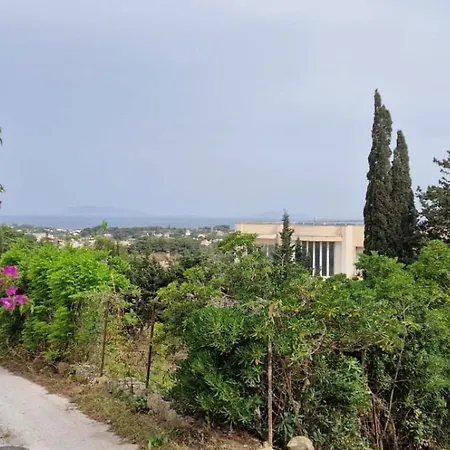 Anna Penzion Marsala